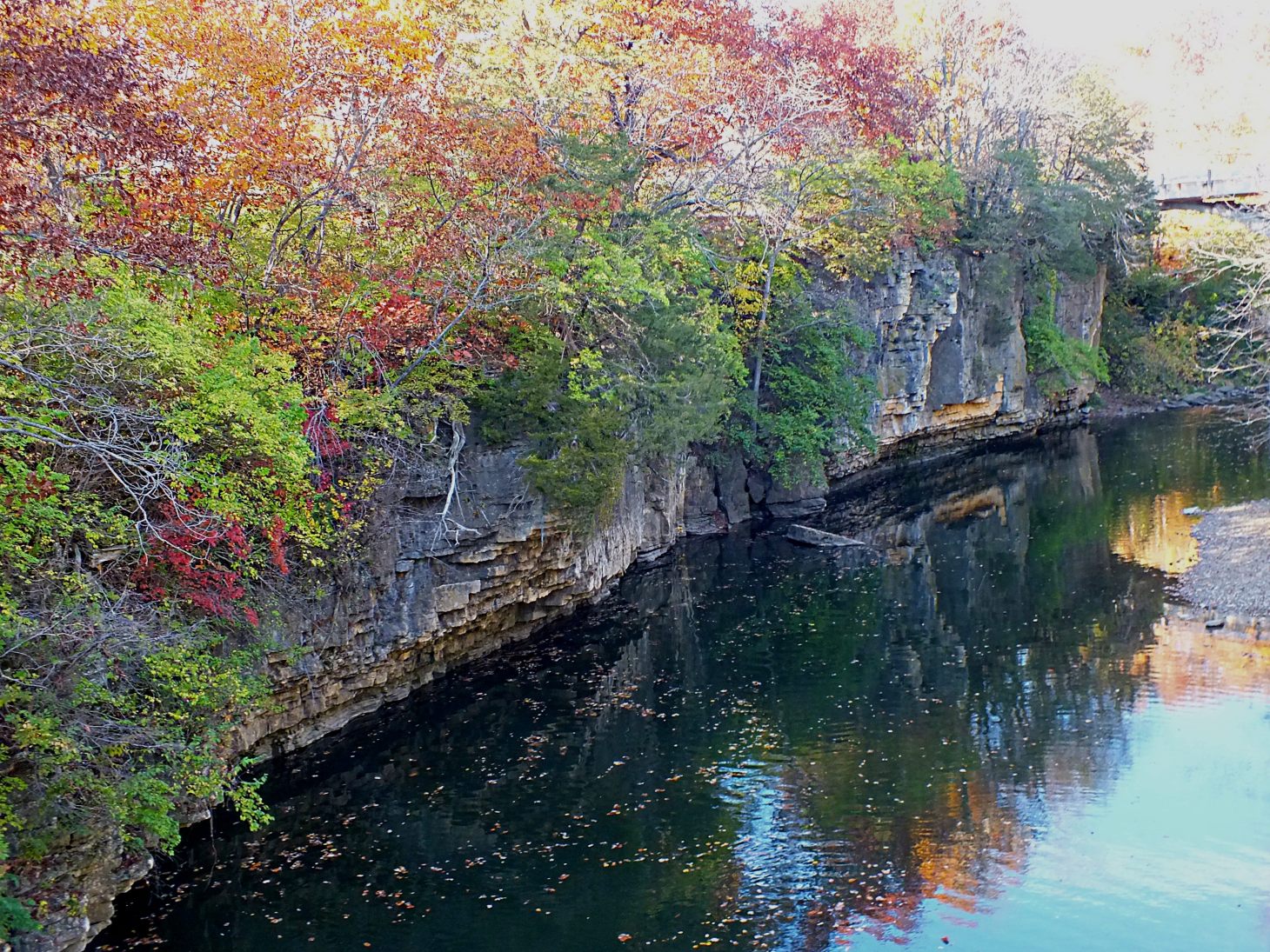 Fall by the Creek. Photo by Thomas Peace 2014