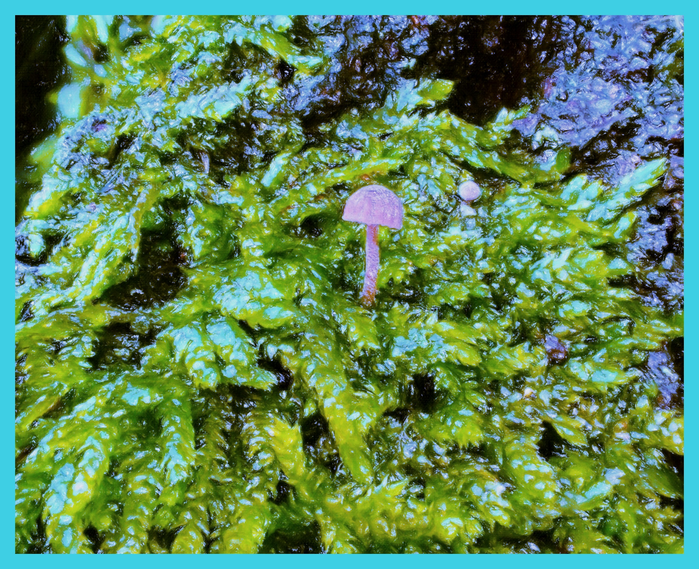 Micro-mushrooms in Moss. (2) Photo by Thomas Peace c. 2015